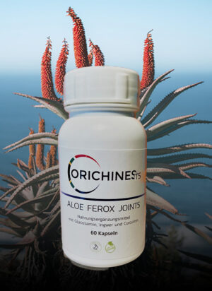 Orichiness CAP ALOE Joints Kapseln