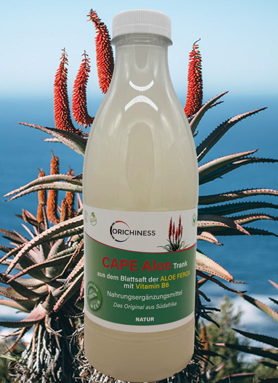 CAP ALOE Blattsaft Mit Prebiotika NATUR 1000 Ml Shop Orichiness