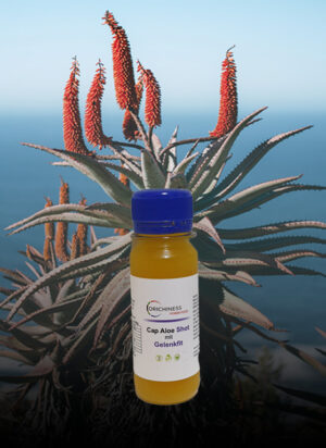 Orichiness Shot Aloe Ferox mit Gelenkfit