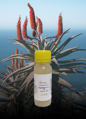 Orichiness Shot Aloe Ferox mit Ingwer