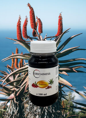 Prebiotika Aloe Trank Cranberry Zimt 100 ml mit Vitamin B6