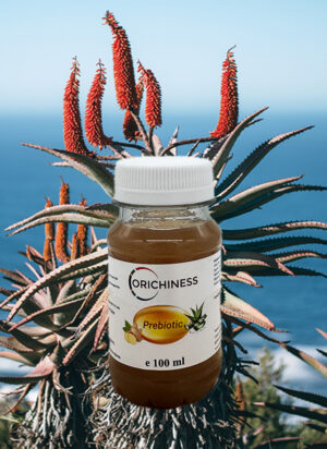Prebiotika Aloe Trank Ingwer 100 ml