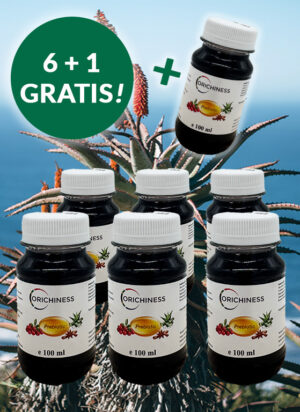 Prebiotika Aloe Trank Cranberry Zimt 7x100 ml mit Vitamin B6