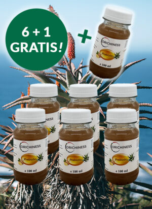 Prebiotika Aloe Trank Ingwer 7x100 ml im Paket