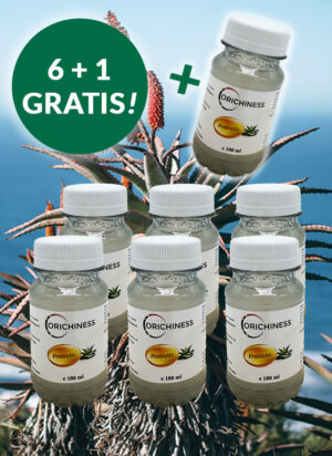 Prebiotika Aloe Trank Natur 7x100 ml im Paket