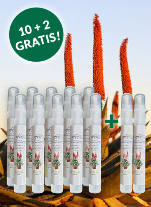 Orichiness Speedy 12x10ml im Paket